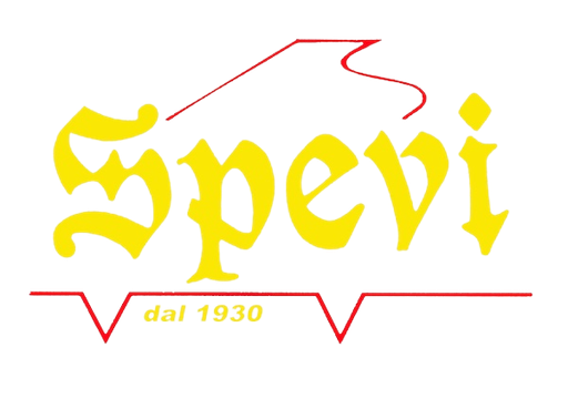 SPEVI STRUMENTI MUSICALI - Roma